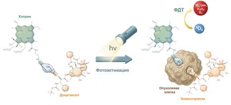 Изображение на обложке